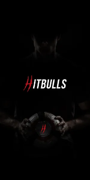 Hitbulls